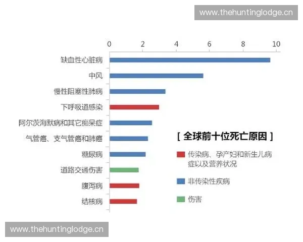 基于体育健康数据的多维度智能分析与个体化运动健康管理研究 基于体育健康数据的多维度智能分析与个体化运动健康管理研究