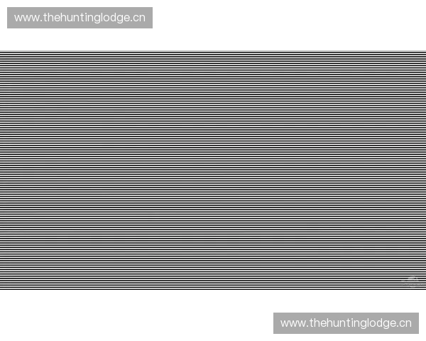 赛场亮度对运动表现和视觉效果的影响研究与分析 赛场亮度对运动表现和视觉效果的影响研究与分析