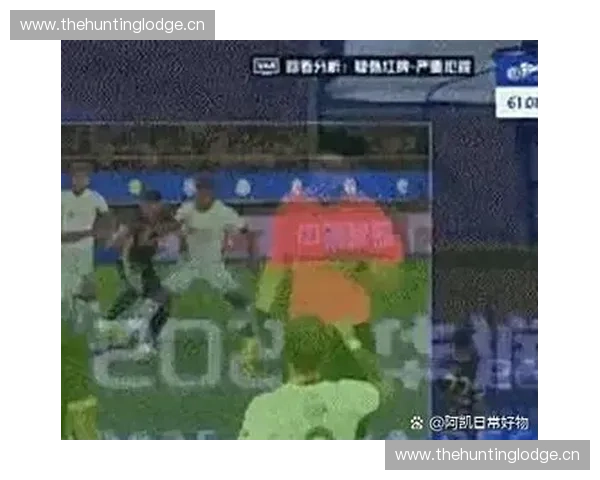 红牌事件背后的裁判判罚争议与赛场纪律深度解析 红牌事件背后的裁判判罚争议与赛场纪律深度解析