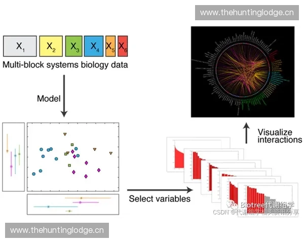 基于恢复指数的动态变化分析及其在不同领域的应用研究